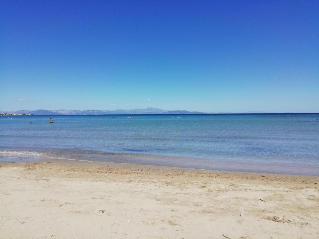 Artemis Bay Apartments Near Sea And Airport 外观 照片